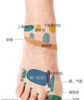 脚踝上长痣代表什么？解读身体语言中的秘密