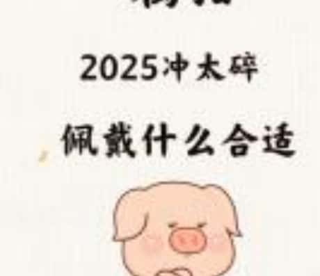 蛇年属猪运势及财运如何