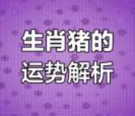 今年是蛇年属猪的运势如何？