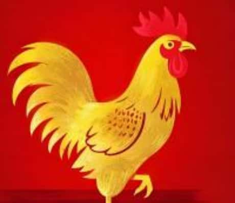 属鸡运势详解