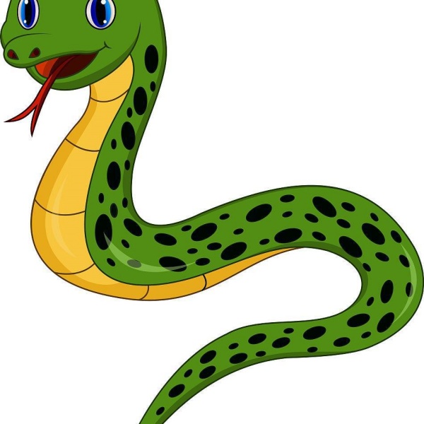 65年属蛇未来十年运势如何