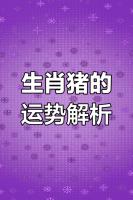 属猪2025年运势展望