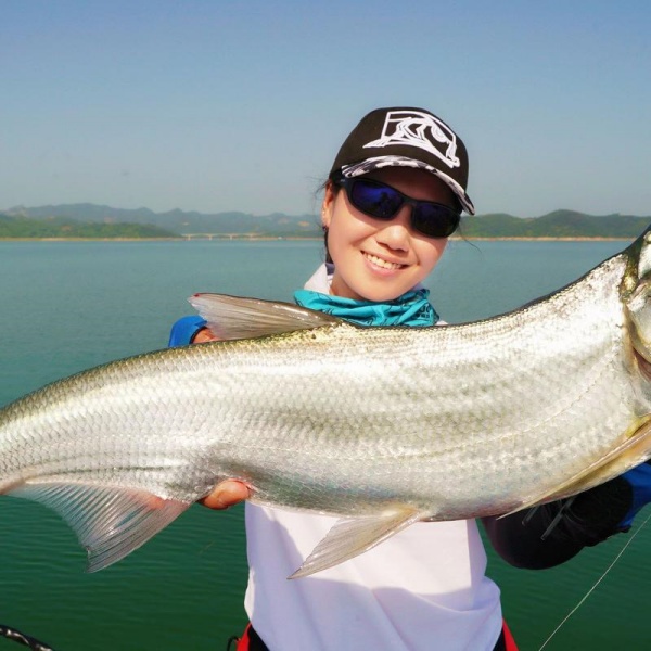 鱼梦醒来，跃出水面