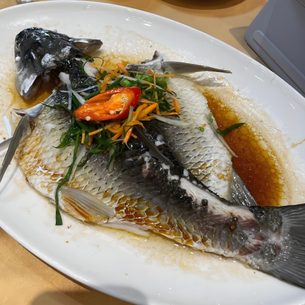 梦境中的鱼块之死