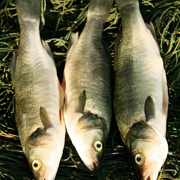 梦见鱼和流水的寓意解析