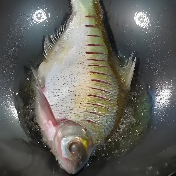 梦见鱼头露出水面：水边的启示