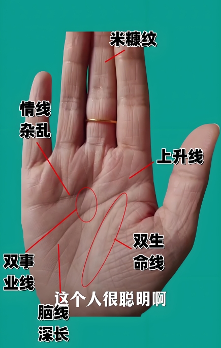 手相左右手的区别及其含义解析